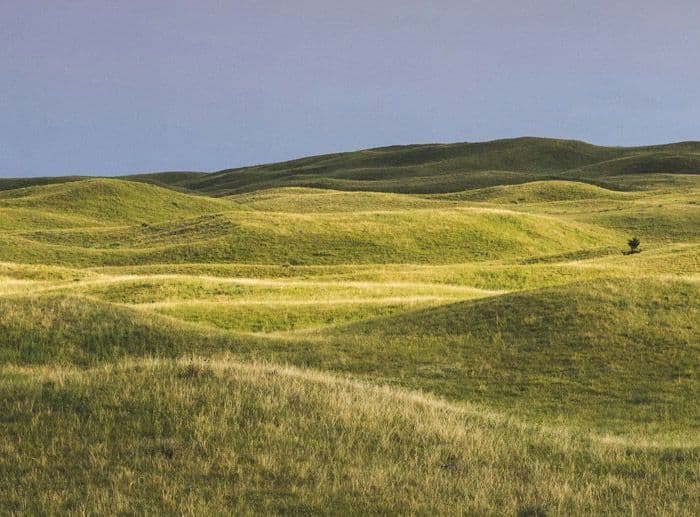 Rolling Fields