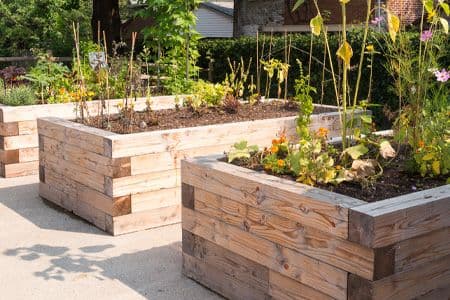 Wooden raised beds for gardening